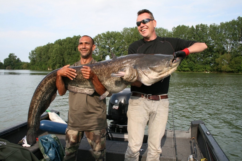 Catfish fishing in the river Saône